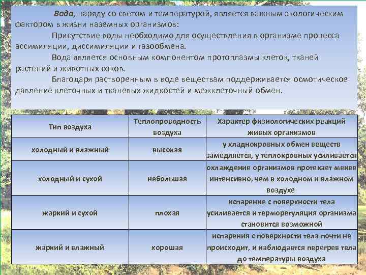  Вода, наряду со светом и температурой, является важным экологическим фактором в жизни наземных