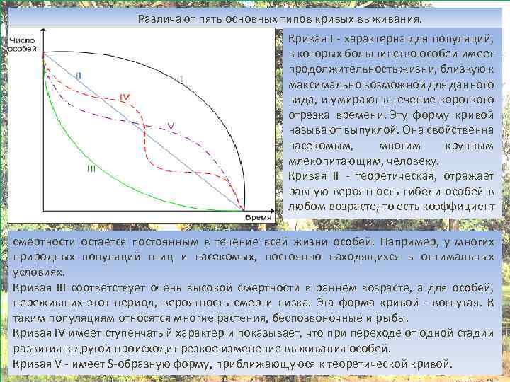 Различают пять основных типов кривых выживания. Кривая I - характерна для популяций, в которых