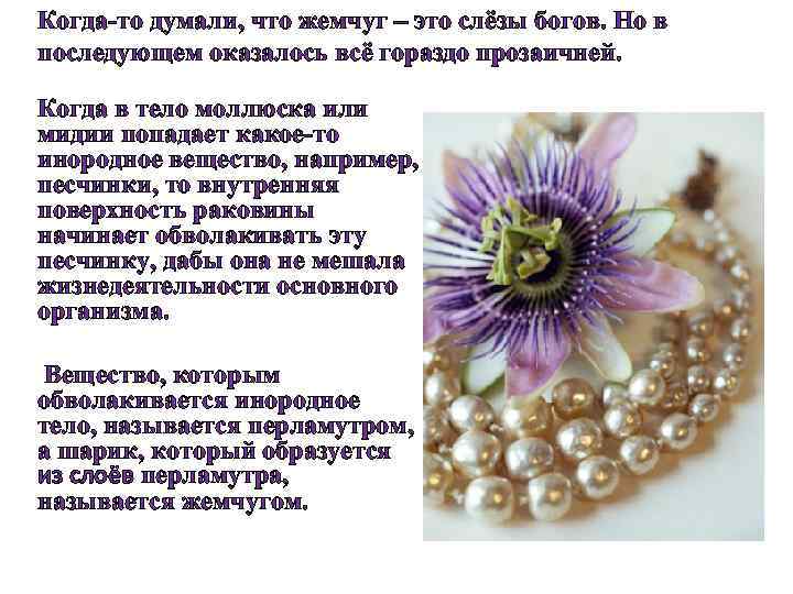 Когда-то думали, что жемчуг – это слёзы богов. Но в последующем оказалось всё гораздо