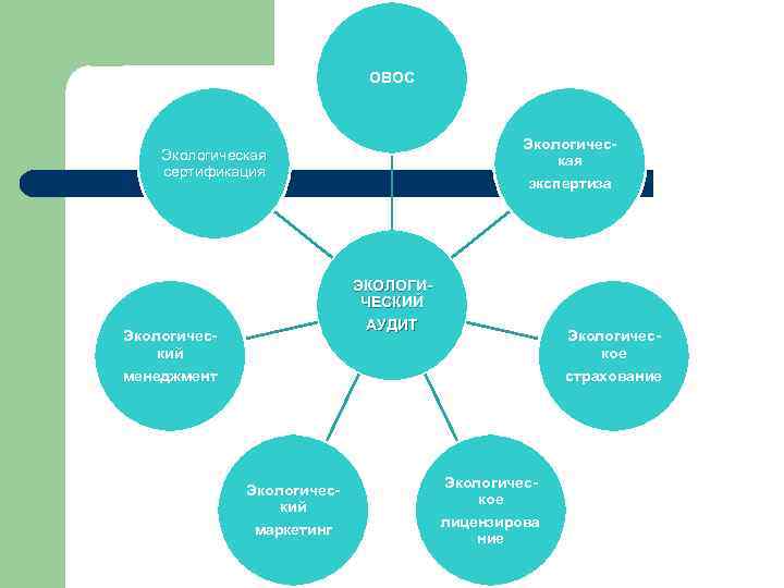 ОВОС Экологическая экспертиза Экологическая сертификация ЭКОЛОГИЧЕСКИЙ АУДИТ Экологический менеджмент Экологический маркетинг Экологическое страхование Экологическое