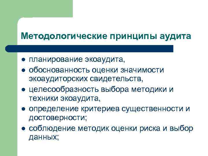 Методологические принципы аудита l l l планирование экоаудита, обоснованность оценки значимости экоаудиторских свидетельств, целесообразность