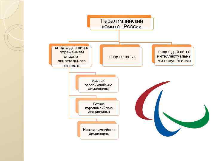 Паралимпийский комитет России спорта для лиц с поражением опорнодвигательного аппарата спорт слепых Зимние паралимпийские