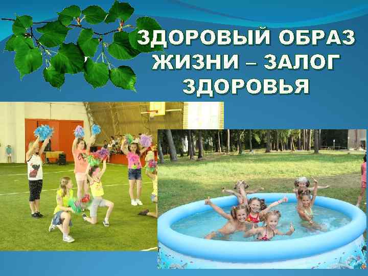 ЗДОРОВЫЙ ОБРАЗ ЖИЗНИ – ЗАЛОГ ЗДОРОВЬЯ 