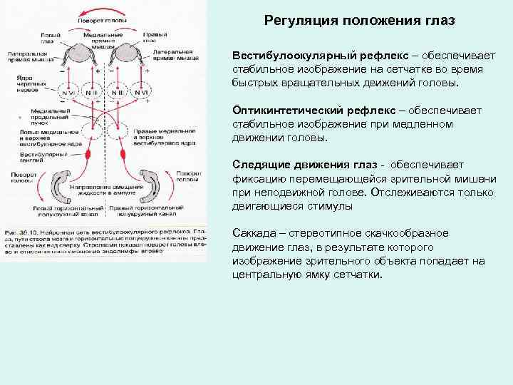 Способ попасть в центральную область