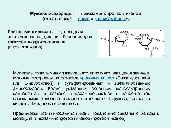 Мукополисахариды = Гликозаминопротеогликанов (от лат. mucus — слизь и «полисахариды» ) Гликозаминогликаны — углеводная