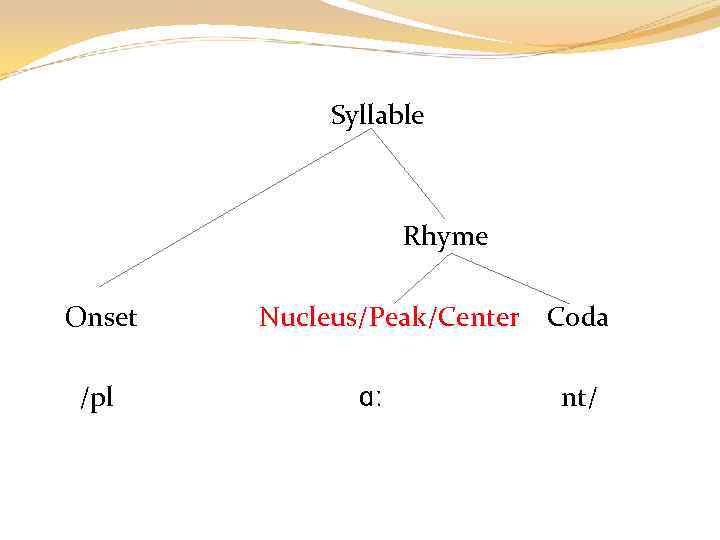 Syllable Rhyme Onset /pl Nucleus/Peak/Center Coda ɑː nt/ 