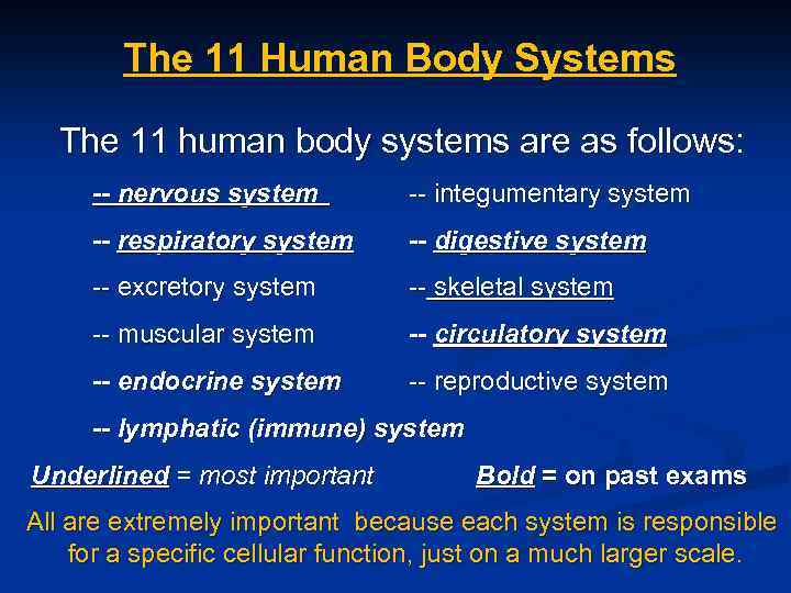 The 11 Human Body Systems The 11 human body systems are as follows: --