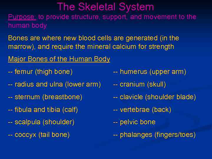 The Skeletal System Purpose: to provide structure, support, and movement to the human body