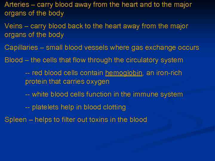 Arteries – carry blood away from the heart and to the major organs of