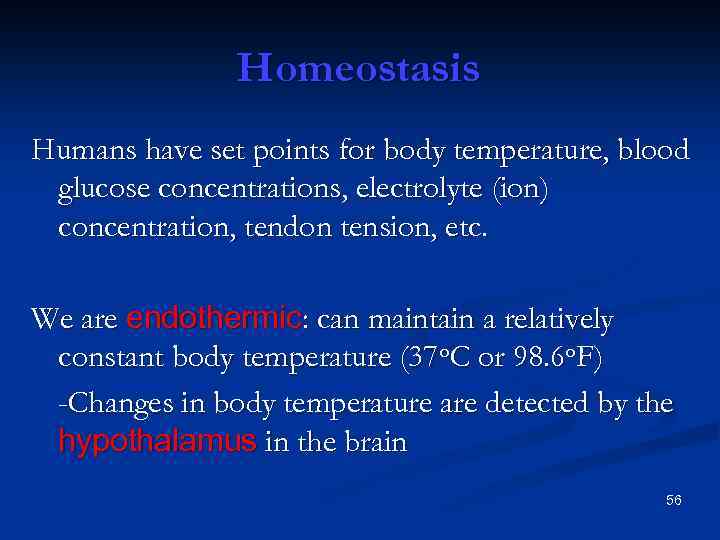 Homeostasis Humans have set points for body temperature, blood glucose concentrations, electrolyte (ion) concentration,