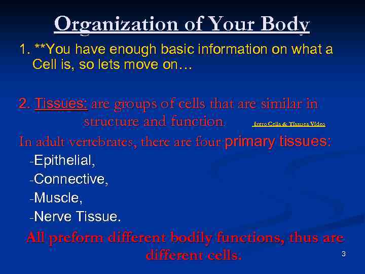 Organization of Your Body 1. **You have enough basic information on what a Cell