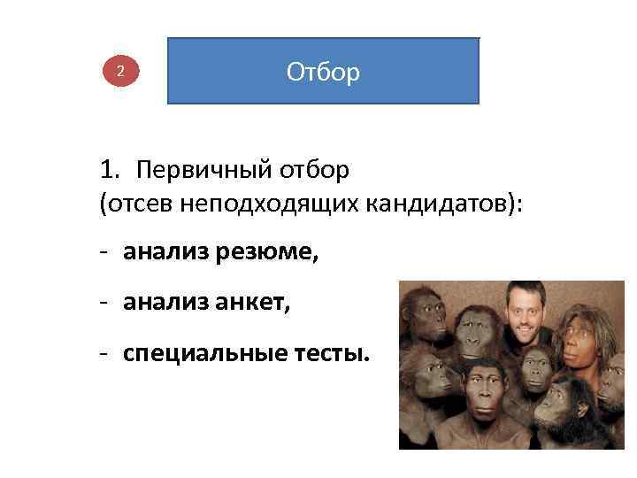 2 Отбор 1. Первичный отбор (отсев неподходящих кандидатов): - анализ резюме, - анализ анкет,