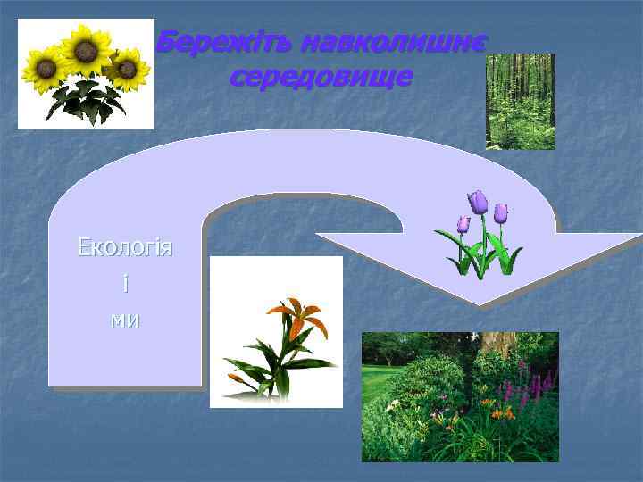 Бережіть навколишнє середовище Екологія і ми 