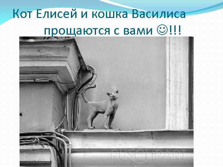 Кот Елисей и кошка Василиса прощаются с вами !!! 