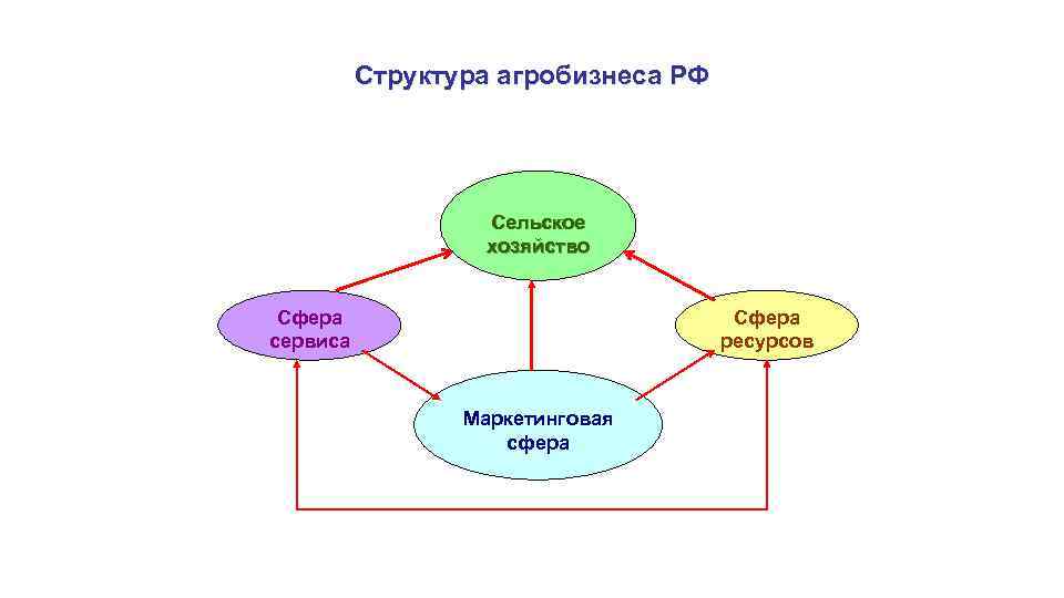 Структура агробизнеса РФ Сельское хозяйство Сфера сервиса Сфера ресурсов Маркетинговая сфера 