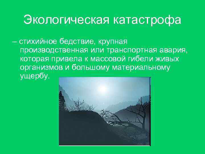 Экологическая катастрофа – стихийное бедствие, крупная производственная или транспортная авария, которая привела к массовой