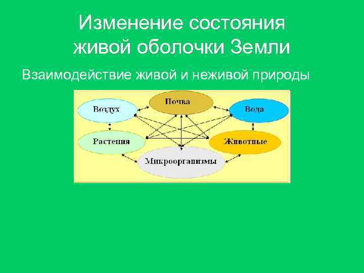 Изменение состояния живой оболочки Земли Взаимодействие живой и неживой природы 