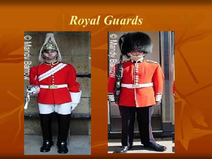 Royal Guards 