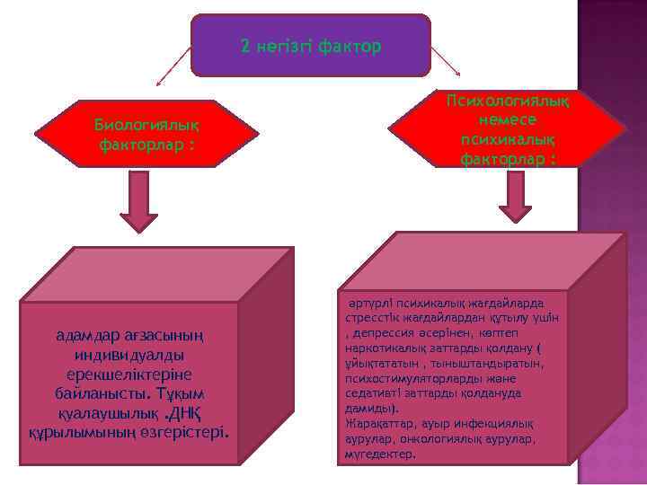2 негізгі фактор Биологиялық факторлар : адамдар ағзасының индивидуалды ерекшеліктеріне байланысты. Тұқым қуалаушылық. ДНҚ