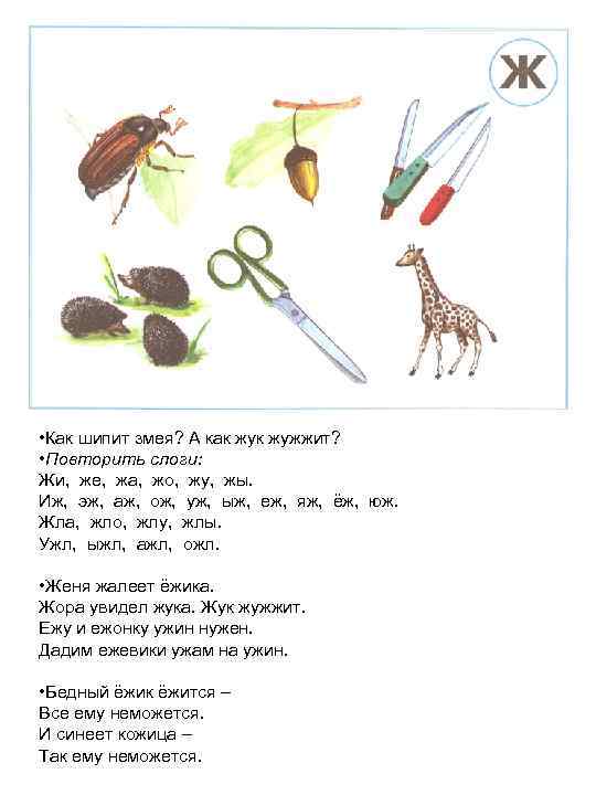  • Как шипит змея? А как жужжит? • Повторить слоги: Жи, же, жа,