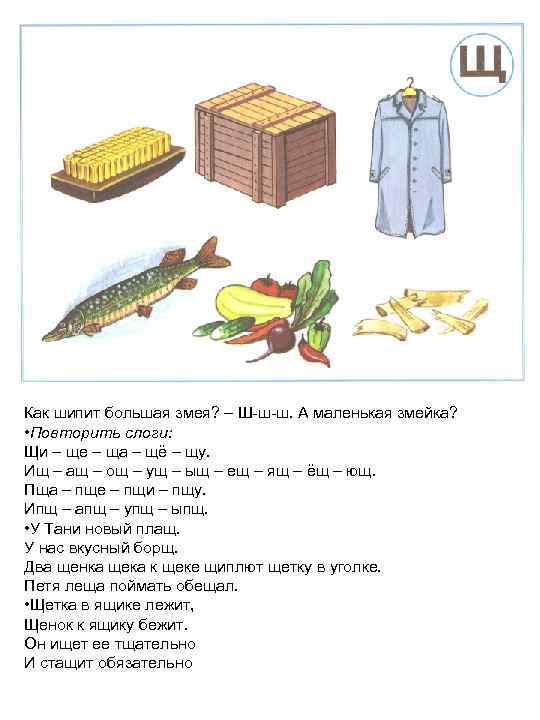 Как шипит большая змея? – Ш-ш-ш. А маленькая змейка? • Повторить слоги: Щи –