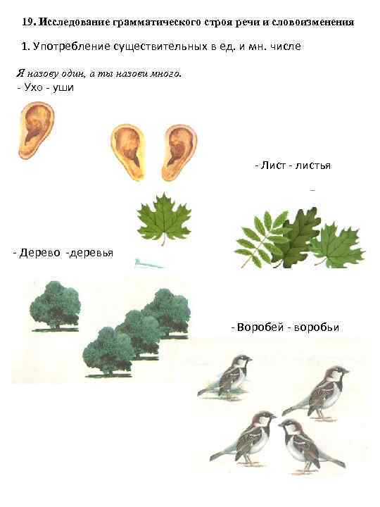 19. Исследование грамматического строя речи и словоизменения 1. Употребление существительных в ед. и мн.