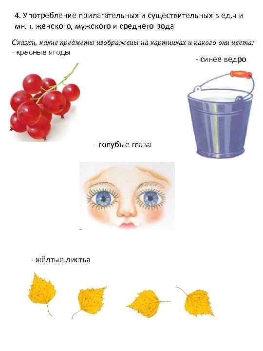 4. Употребление прилагательных и существительных в ед. ч и мн. ч. женского, мужского и
