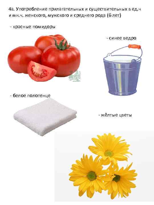 4 а. Употребление прилагательных и существительных в ед. ч и мн. ч. женского, мужского