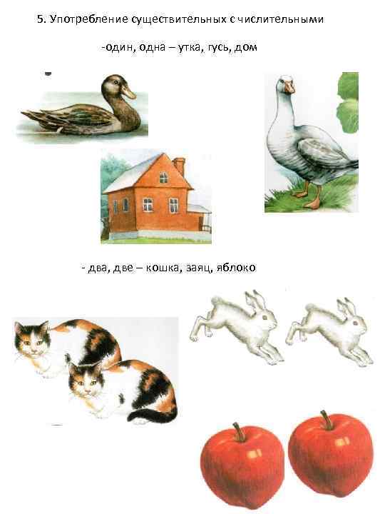 5. Употребление существительных с числительными -один, одна – утка, гусь, дом - два, две
