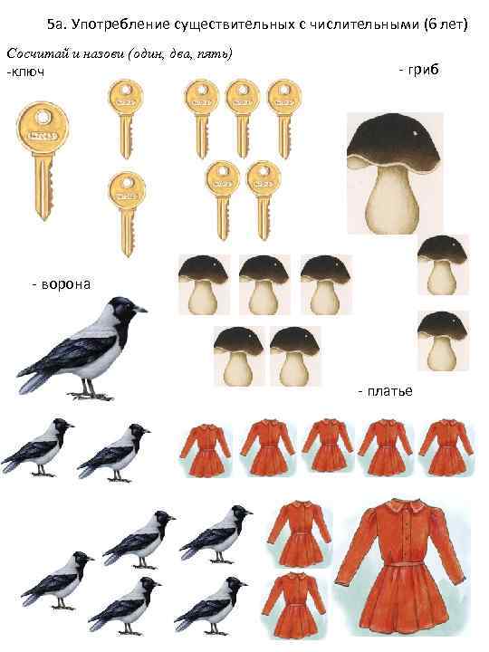 5 а. Употребление существительных с числительными (6 лет) Сосчитай и назови (один, два, пять)