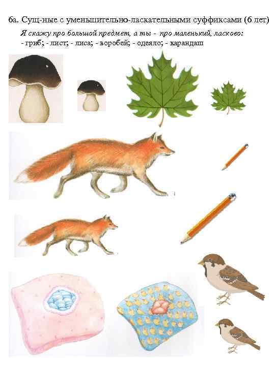 6 а. Сущ-ные с уменьшительно-ласкательными суффиксами (6 лет) Я скажу про большой предмет, а