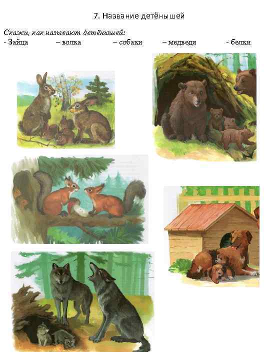 7. Название детёнышей Скажи, как называют детёнышей: - Зайца – волка – собаки –