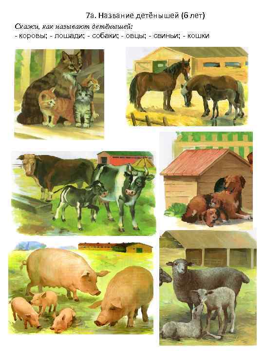 7 а. Название детёнышей (6 лет) Скажи, как называют детёнышей: - коровы; - лошади;
