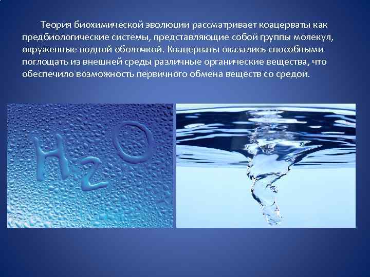  Теория биохимической эволюции рассматривает коацерваты как предбиологические системы, представляющие собой группы молекул, окруженные