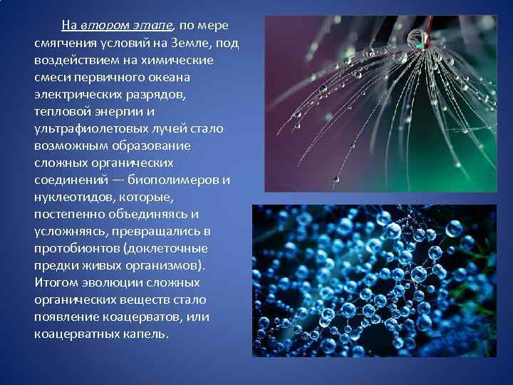  На втором этапе, по мере смягчения условий на Земле, под воздействием на химические