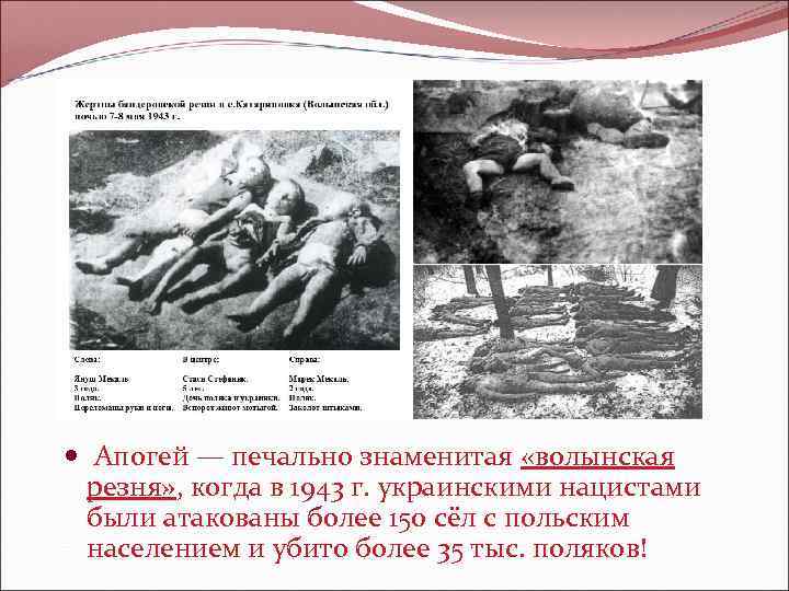  Апогей — печально знаменитая «волынская резня» , когда в 1943 г. украинскими нацистами