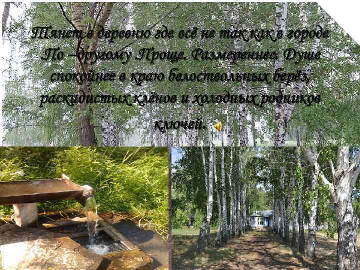 Тянет в деревню где всё не так как в городе. По –другому. Проще. Размереннее.