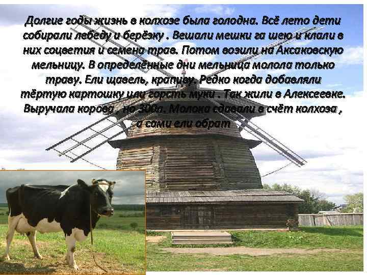 Долгие годы жизнь в колхозе была голодна. Всё лето дети собирали лебеду и берёзку.