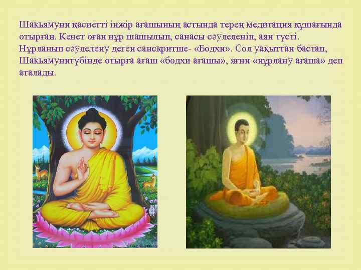 Шакьямуни қасиетті інжір ағашының астында терең медитация құшағында отырған. Кенет оған нұр шашылып, санасы