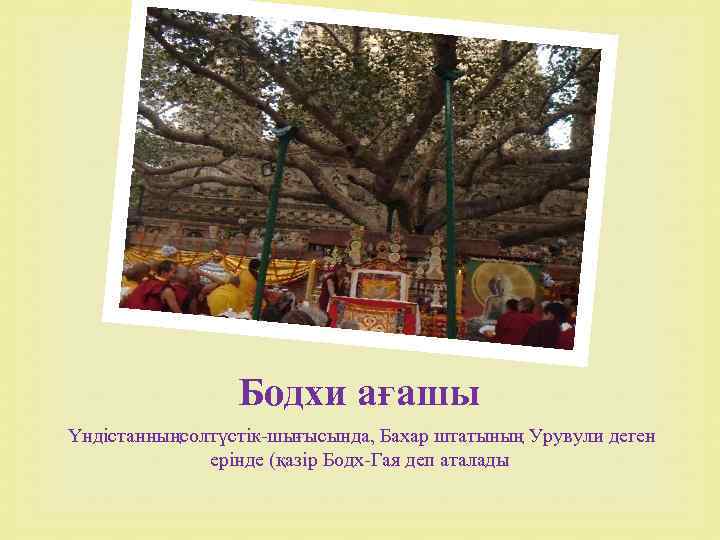 Бодхи ағашы Үндістанныңсолтүстік-шығысында, Бахар штатының Урувули деген ерінде (қазір Бодх-Гая деп аталады 