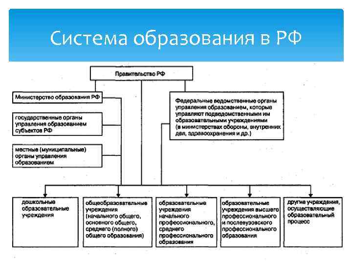 Система образования в РФ 