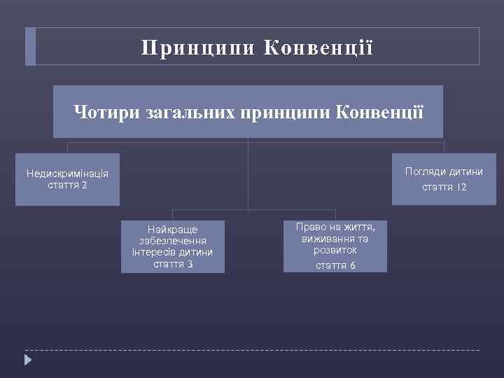 Принципи Конвенції Чотири загальних принципи Конвенції Погляди дитини стаття 12 Недискримінація стаття 2 Найкраще