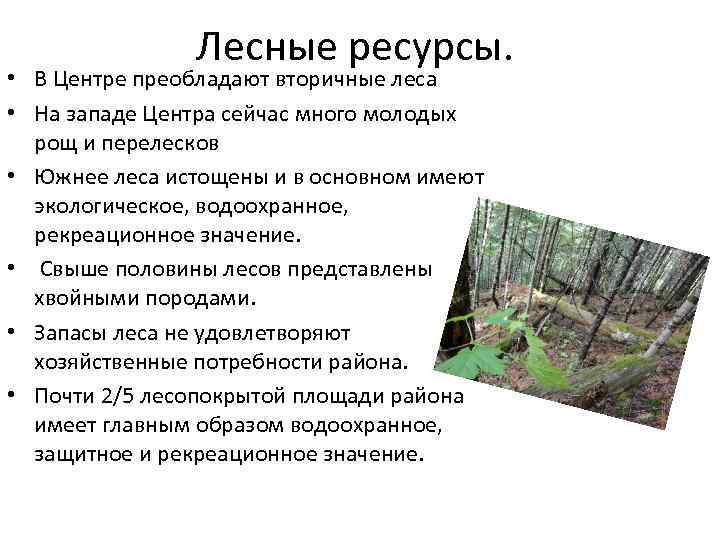 Рекреационный потенциал леса. Лесные ресурсы центральной Росси. Рекреационное значение леса. Лесные ресурсы центрального района России. Лесные ресурсы ЦЭР.