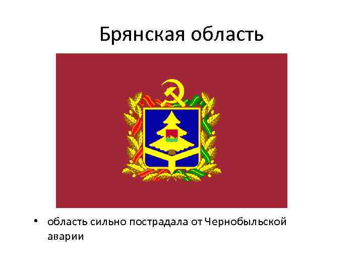 Брянская область • область сильно пострадала от Чернобыльской аварии 