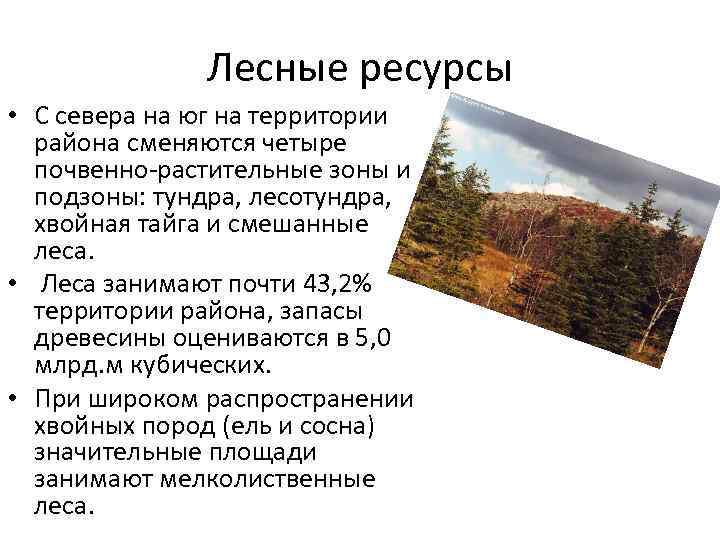 Лесные ресурсы • С севера на юг на территории района сменяются четыре почвенно-растительные зоны