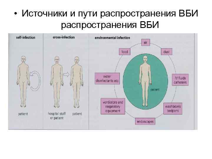  • Источники и пути распространения ВБИ 