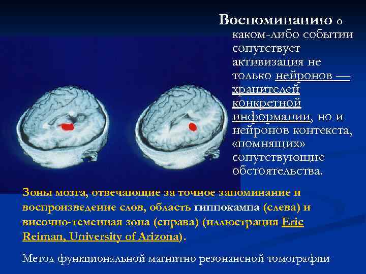 Воспоминанию о каком-либо событии сопутствует активизация не только нейронов — хранителей конкретной информации, но