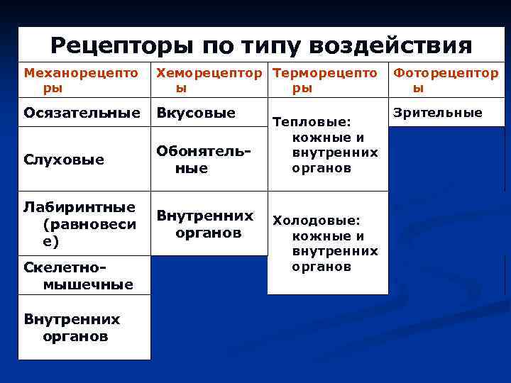 Рецепторы по типу воздействия Механорецепто ры Хеморецептор Терморецепто ы ры Фоторецептор ы Осязательные Вкусовые