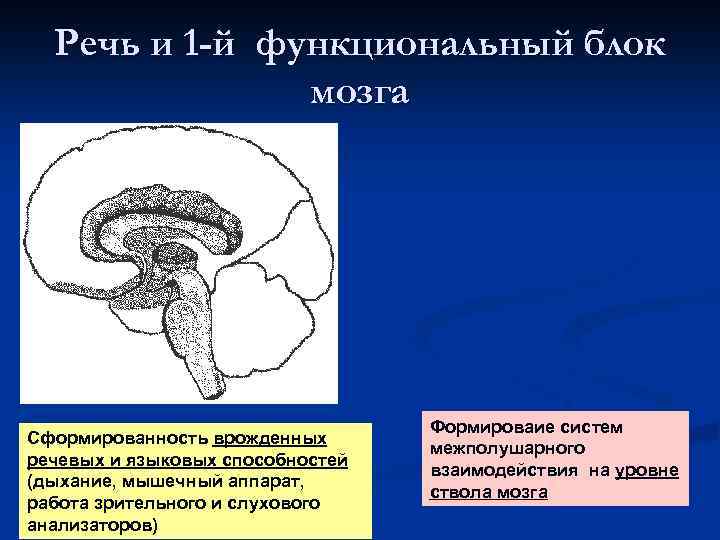 Речь и 1 -й функциональный блок мозга Сформированность врожденных речевых и языковых способностей (дыхание,