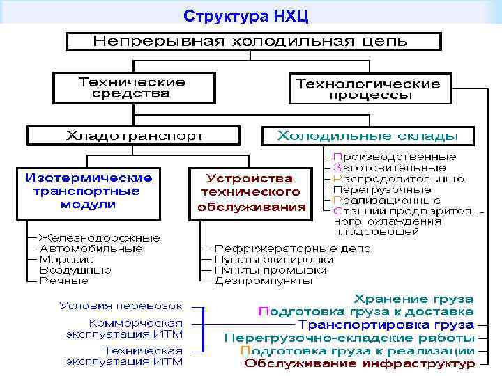 Структура НХЦ 